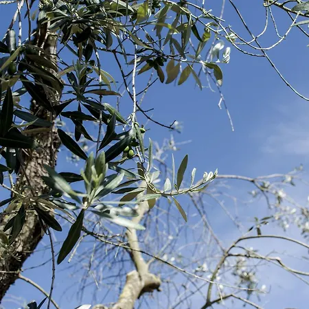 For Creativity-coliving Puglia